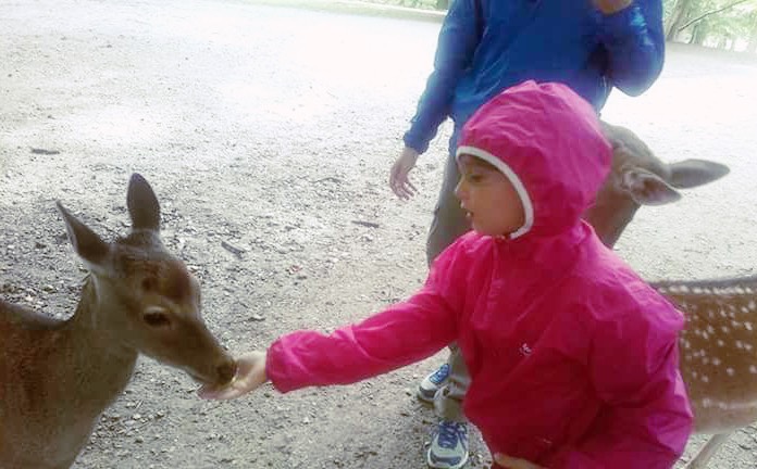 Marselisborg Deer Park