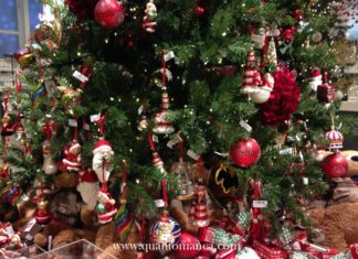 La leggenda dell’ albero di Natale