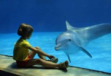 Parco Oltremare di Riccione