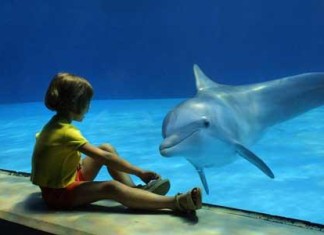 Parco Oltremare di Riccione