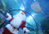 Vacanze di Natale al Sea Life di Jesolo natale a gardaland