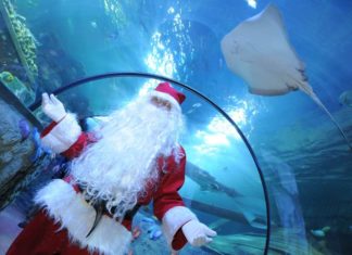 Vacanze di Natale al Sea Life di Jesolo natale a gardaland