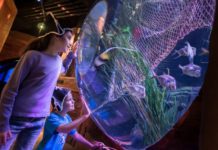 Un insolito carnevale al Gardaland Sea Life Aquarium carnevale sea life