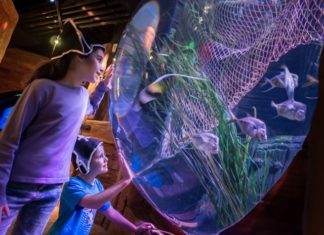 Un insolito carnevale al Gardaland Sea Life Aquarium carnevale sea life
