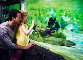 Arriva Peppa Pig al Gardaland SEA LIFE Aquarium festa del papa