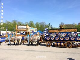 Frühlingsfest Monaco: la festa di primavera da non perdere festival birra monaco