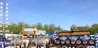 Frühlingsfest Monaco: la festa di primavera da non perdere festival birra monaco