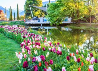 I migliori parchi e giardini italiani da visitare con la famiglia Giardini Castel Trauttmansdorff