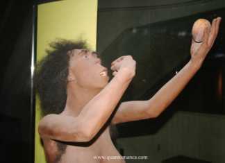 Natale a Dusseldorf e il museo di Neanderthal visti da un bambino museo Neanderthal