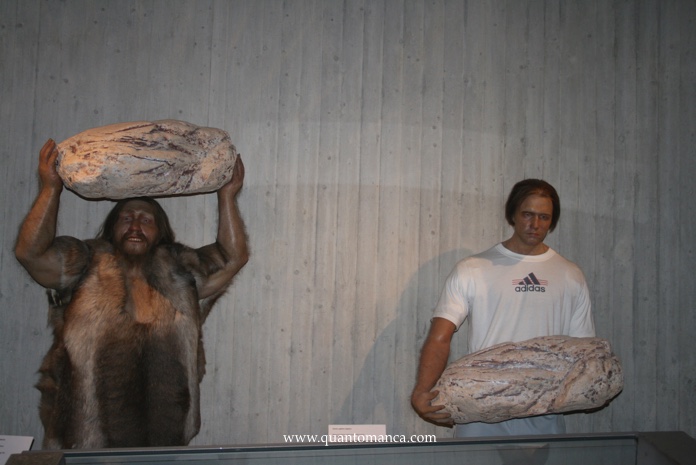 museo Neanderthal