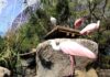 Valencia e la natura: bioparco, acquario e una laguna da non perdere