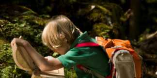 Il Trentino dei bambini: 5 attività da fare in vacanza attivita per bambini in trentino