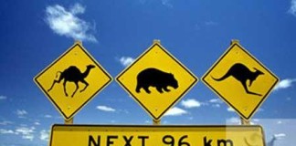 Racconto viaggio Australia Nuova Zelanda – seconda parte Ecco il nostro Viaggi in Australia e Nuova zelandia con i Bambini dietro