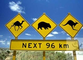 Australia e Nuova Zelanda con bimbi – Racconto di viaggio – prima parte Ecco il nostro Viaggi in Australia e Nuova zelandia con i Bambini dietro