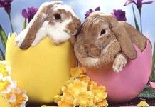 Come si calcola la Pasqua: guida completa e date fino al 2030 la pasqua in germania