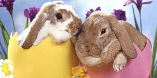 Come si calcola la Pasqua: guida completa e date fino al 2030 la pasqua in germania