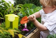 Marzo – A Modena la fiera “verdi passioni” anche per giardinieri in tenera età A Modena la fiera verdi passioni