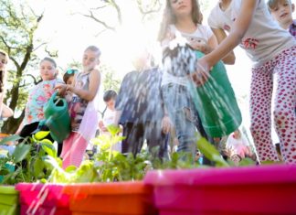 Settembre – Perugia Flower Show, week-end green anche per i bambini perugia flowers show