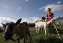 Vacanze in Trentino con bambini: le località e le valli più belle trentino con bambini