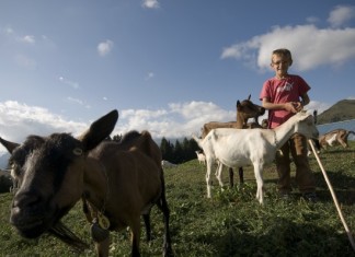 Vacanze in Trentino con bambini: le località e le valli più belle trentino con bambini