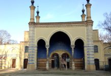 Lo zoo di Berlino: guida completa e curiosità per una visita indimenticabile zoo di berlino