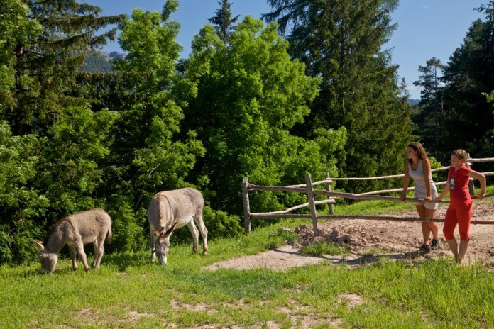 Agriturismo Weiss - i asini