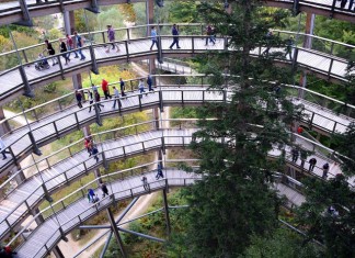Baviera: una strada sugli alberi per i piccoli esploratori camminata sugli alberi