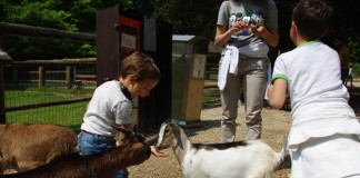 Tre giorni da sogno tra “Natura Viva”, Peschiera del Garda e Sirmione