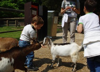 Tre giorni da sogno tra “Natura Viva”, Peschiera del Garda e Sirmione