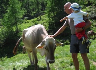 Le fattorie didattiche del Trentino