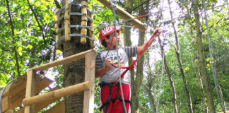 A spasso tra gli alberi nel parco avventura Parmaland parco avventura albering,