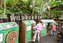 Verde Cornovaglia: un giorno all’ Eden Project cornovaglia con bambini