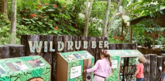 Verde Cornovaglia: un giorno all’ Eden Project cornovaglia con bambini