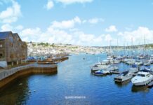 Perché visitare Falmouth: l’anima marittima della Cornovaglia Veduta panoramica del porto storico di Falmouth in Cornovaglia, con numerose barche a vela e imbarcazioni ormeggiate in un'ampia baia naturale sotto un cielo sereno.