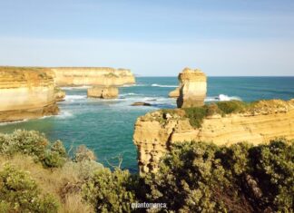 Australia: cosa vedere sulla Great Ocean Road great ocean road cosa vedere