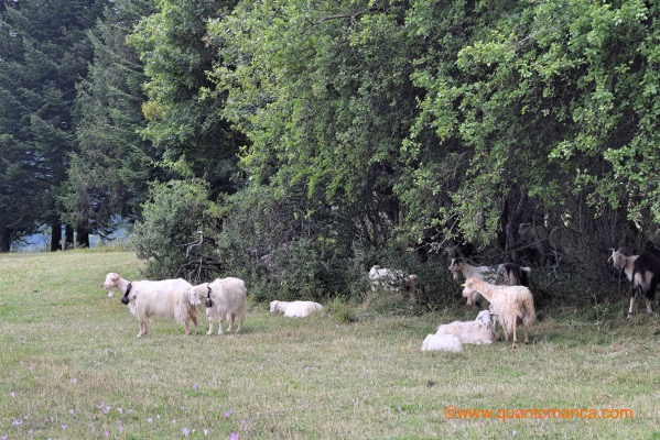 monti sibillini