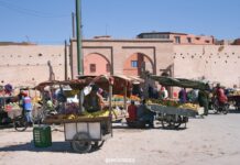Cosa vedere a Marrakech, la cittá rosa dai mille colori cosa vedere a marrakech
