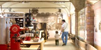 Musei del Cibo della provincia di Parma musei del cibo