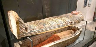 Museo Egizio Torino: guida completa alla visita museo egizio di torino