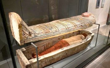 Museo Egizio Torino: guida completa alla visita museo egizio di torino