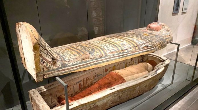 Museo Egizio Torino: guida completa alla visita museo egizio di torino