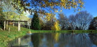 Monti della Garfagnana: avventura e scoperta di una natura incontaminata