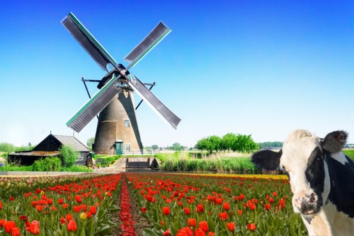 itinerari in olanda dove andare in olanda