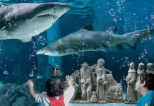 Acquario di Cattolica: : il famoso «presepe tra gli squali» torna più magico che mai