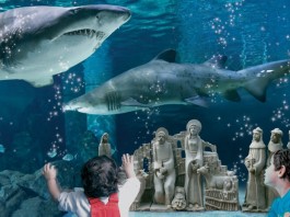 Acquario di Cattolica: : il famoso «presepe tra gli squali» torna più magico che mai