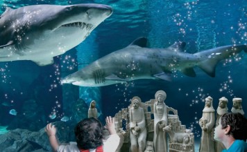 Acquario di Cattolica: : il famoso «presepe tra gli squali» torna più magico che mai