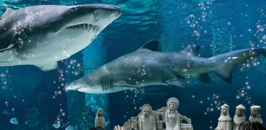 Acquario di Cattolica: : il famoso «presepe tra gli squali» torna più magico che mai