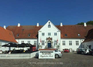 Scandic Hotel: la catena alberghiera del Nord che ama i bambini