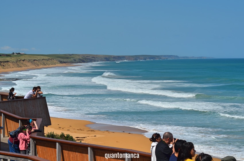 great ocean road australia