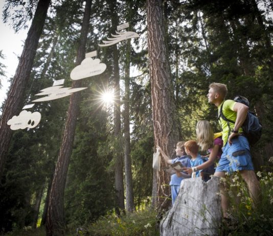 Passeggiate in Trentino: sentieri facili e divertenti per bambini e famiglie